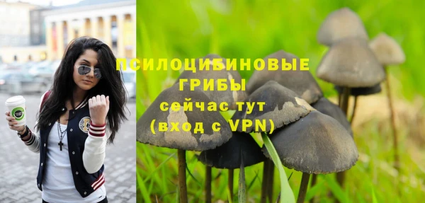 МДМА Дмитровск
