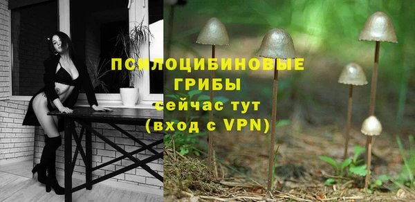 мескалин Ельня