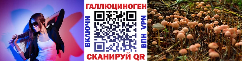 Псилоцибиновые грибы мицелий Радужный