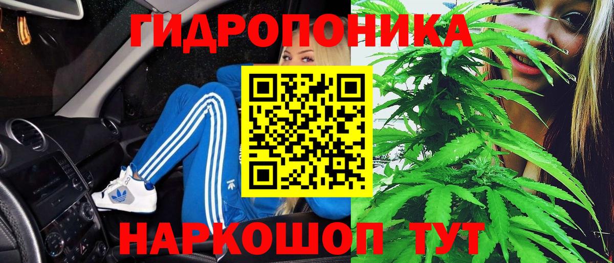 Каннабис Amnesia  Бошки марихуана тримм  Вход с VPN  МАРИХУАНА Amnesia  Радужный 